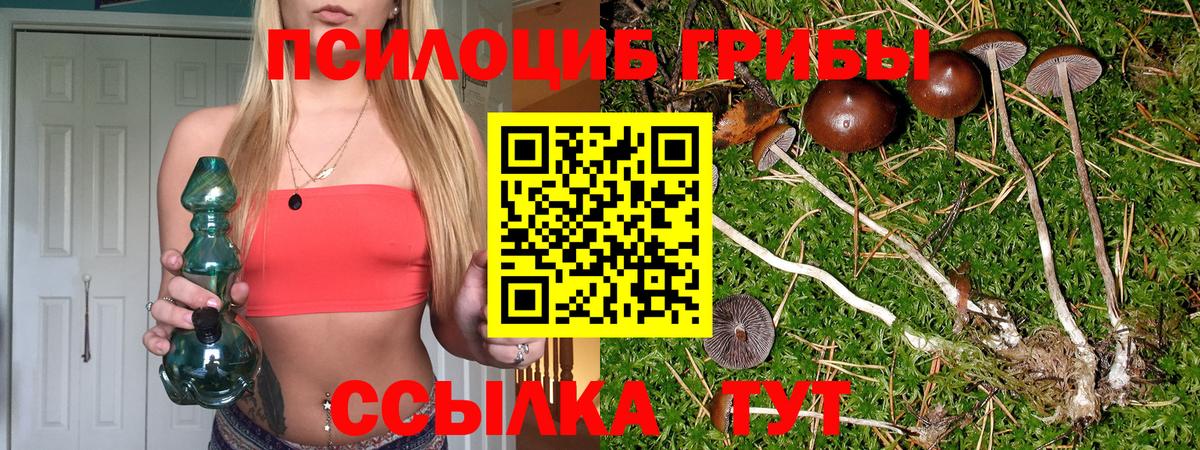 Псилоцибиновые грибы Psilocybine cubensis Армавир