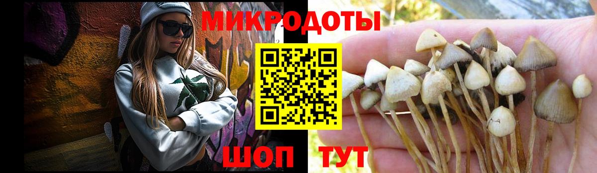 Армавир  Галлюциногенные грибы ЛСД  Вход с VPN 
